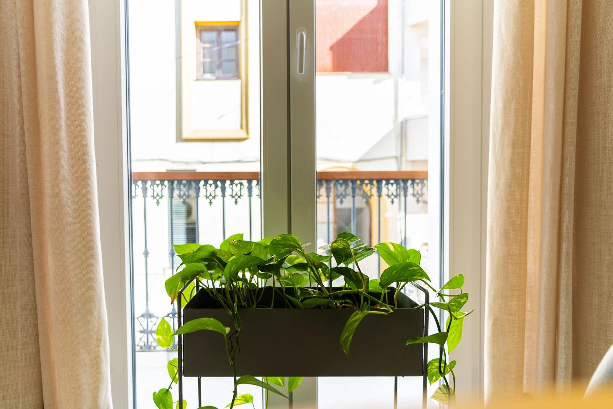 Casa De La Vega Suites Chiclana de la Frontera Buitenkant foto
